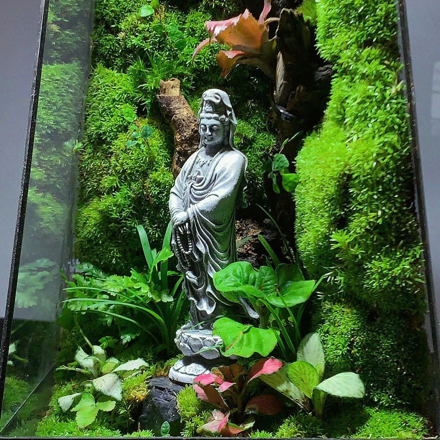 ⭐️Bể Terrarium- Phật Quán Thế Âm Bồ Tát Bình An