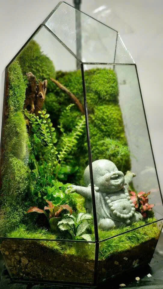 ⭐️Bể Terrarium- Phật Di Lạc An Nhiên